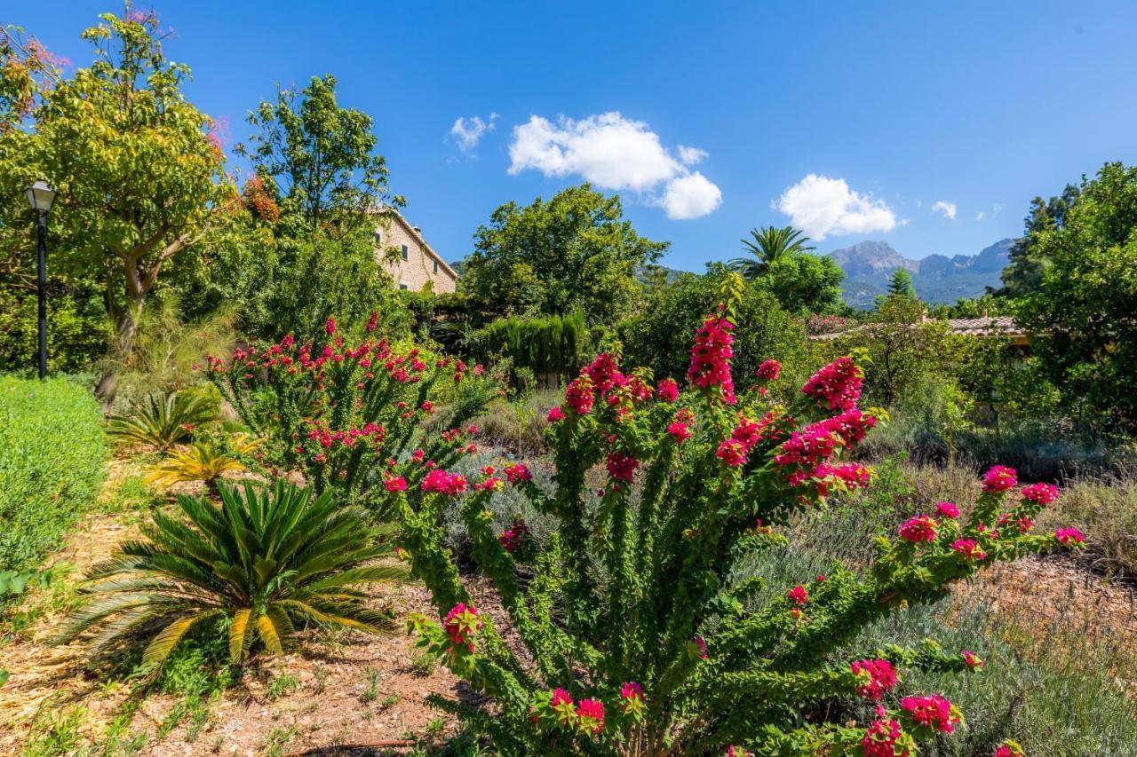 Finca Ca'S Curial - Agroturismo - Adults Only 索列尔 外观 照片