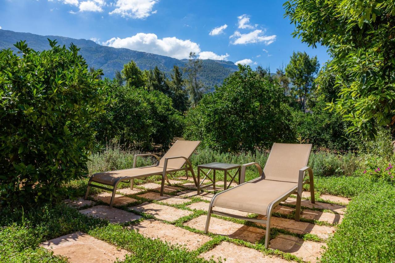 Finca Ca'S Curial - Agroturismo - Adults Only 索列尔 外观 照片