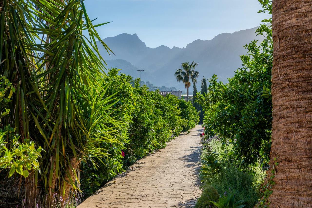 Finca Ca'S Curial - Agroturismo - Adults Only 索列尔 外观 照片