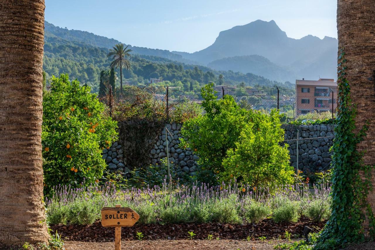 Finca Ca'S Curial - Agroturismo - Adults Only 索列尔 外观 照片