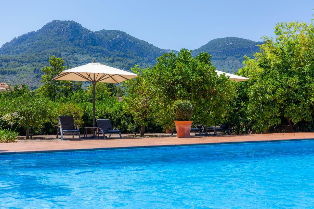 Finca Ca'S Curial - Agroturismo - Adults Only 索列尔 外观 照片